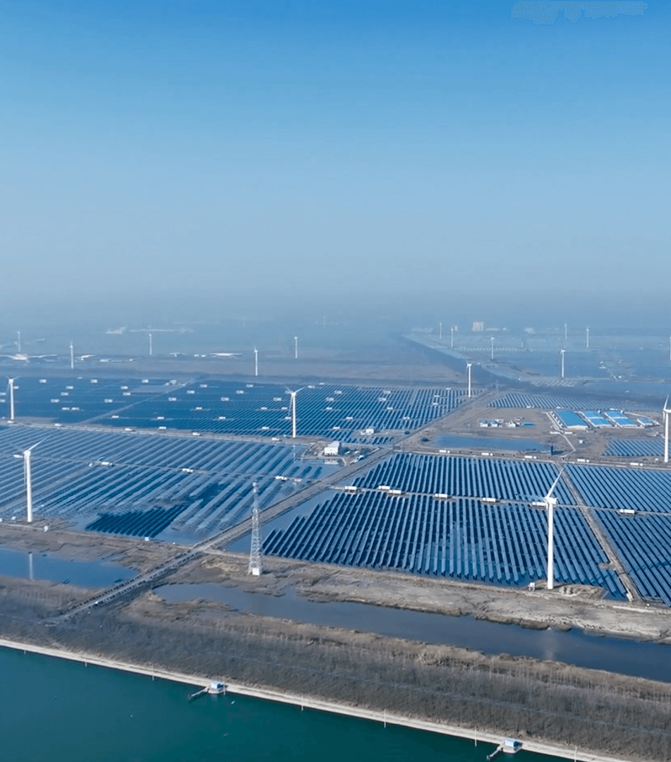 LVSSN 公司介绍_1