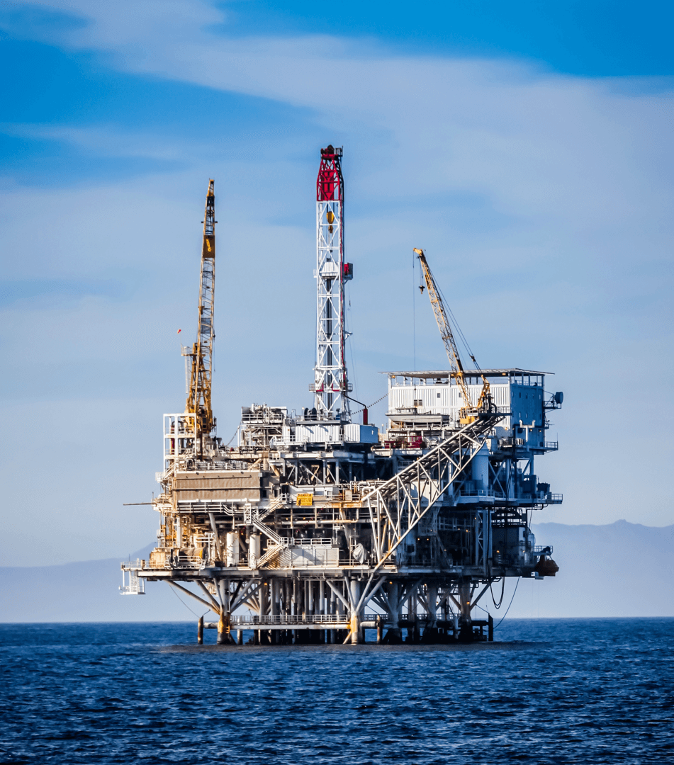 LVSSN 公司介绍_3